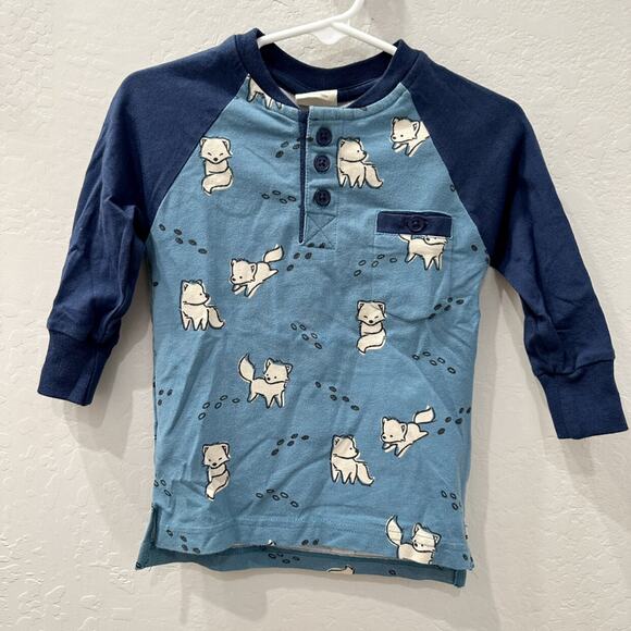 Maxomorra Blue Foxes Raglan Long Sleeve Shirt - Picture 1 of 6